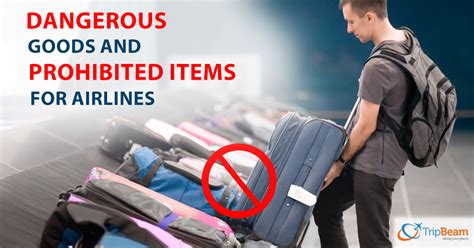 can i bring flowers on a domestic flight? and what makes some items restricted?