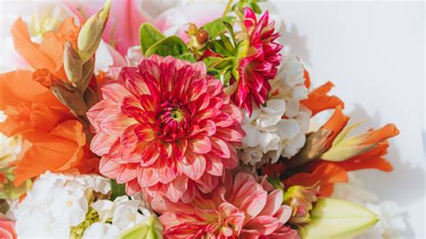 how to send flowers to a hospital - the art of choosing the right type and color